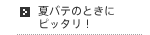 夏バテのときにピッタリ！